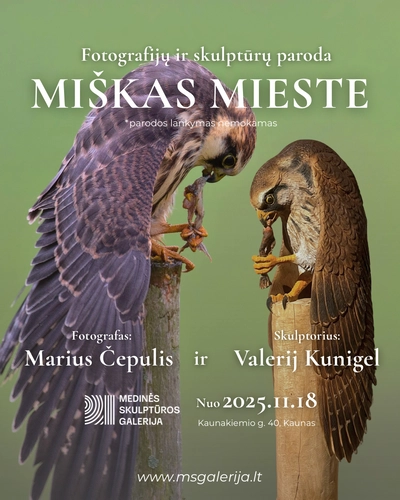 Paroda miskas mieste